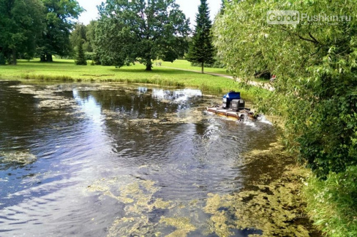 Часть водных прудов в Павловском парке приведены в порядок
