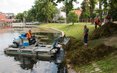 «Кувшинки оставят»: машина-амфибия очистит озеро Поплавок от водорослей
